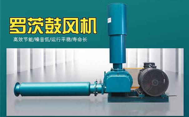 罗茨鼓草莓视频破解视频免费观看安卓
