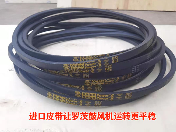 罗茨草莓视频破解视频免费观看安卓皮带
